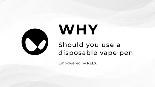 Why Should You Use a Disposable Vape Pen?