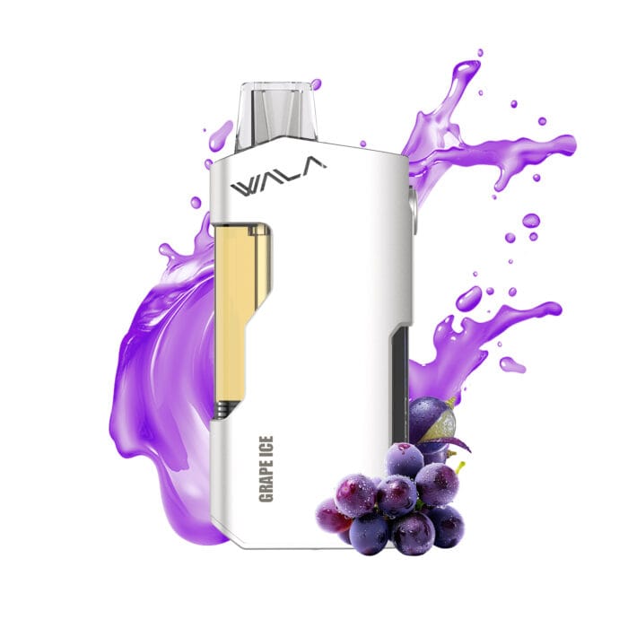 GRAPE ICE 1 PIECE