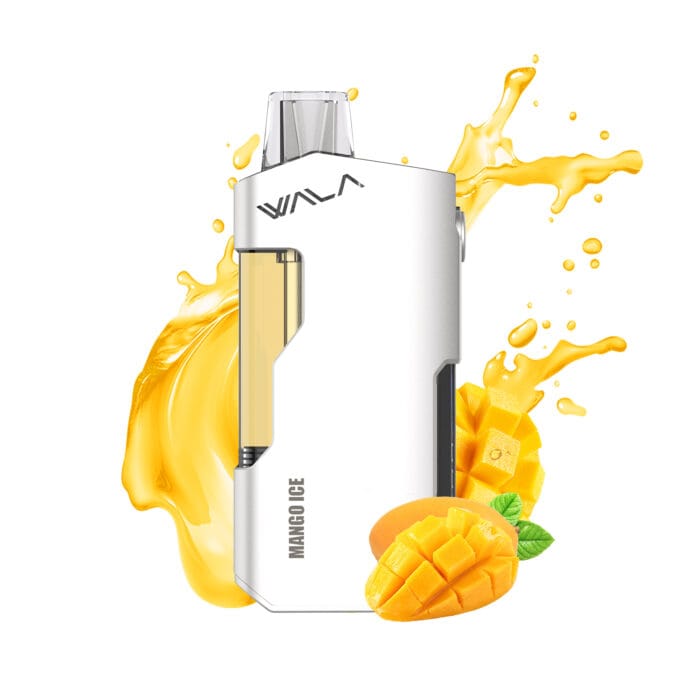 MANGO ICE 1 PIECE