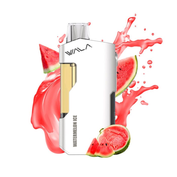 WATERMELON ICE 1 PIECE