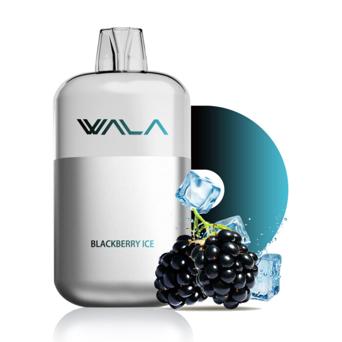 blackberry ice 1 PIECE