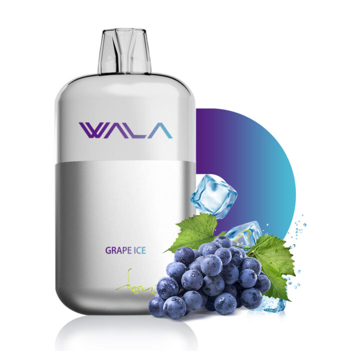 grape ice 1 PIECE
