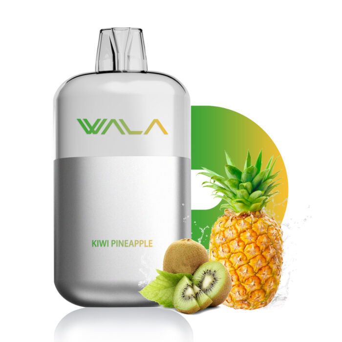 kiwi pineapple 1 PIECE