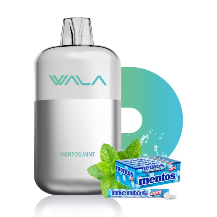 mentos mint 1 PIECE