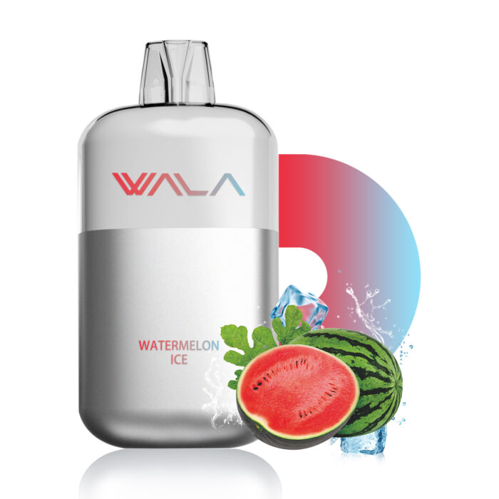 watermelon ice 1 PIECE