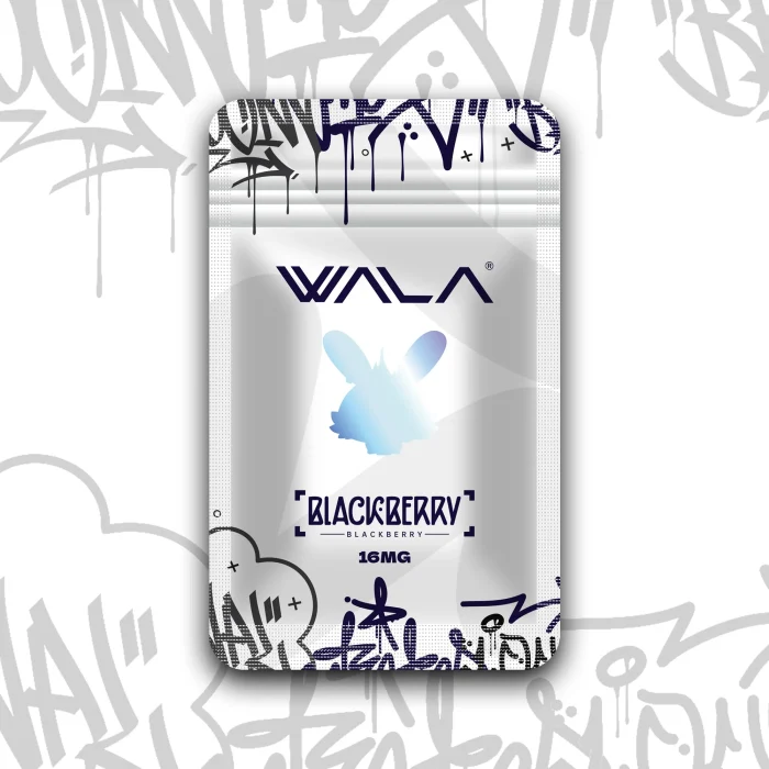1 blackberry