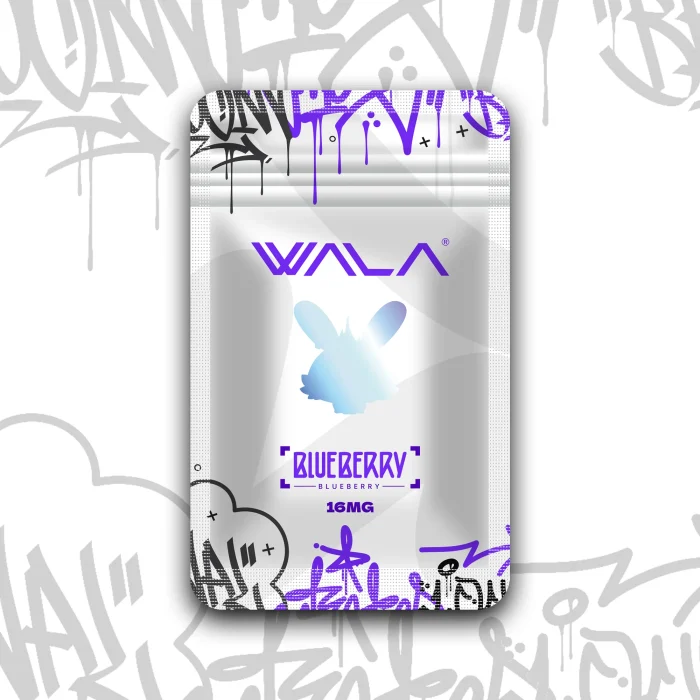 1 blueberry