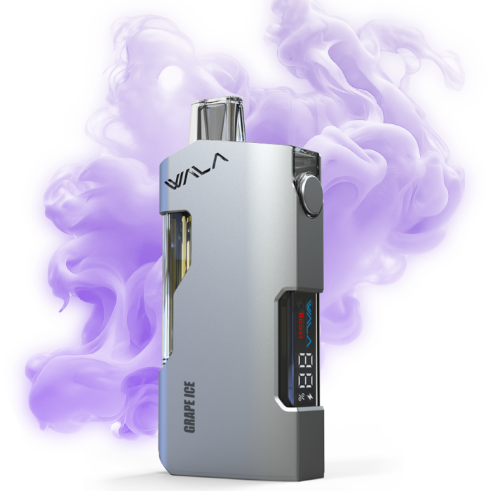 Grape ice 1 PIECE