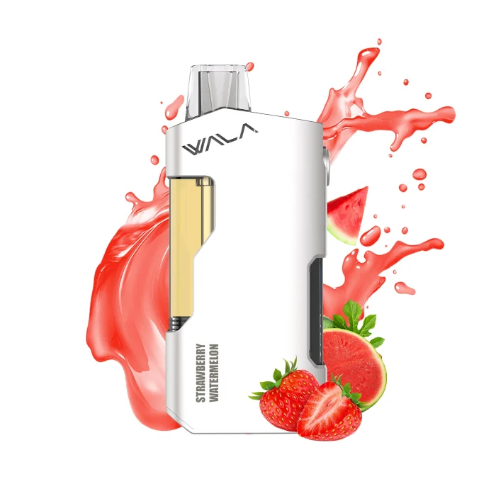 Strawberry Watermelon 1 PIECE